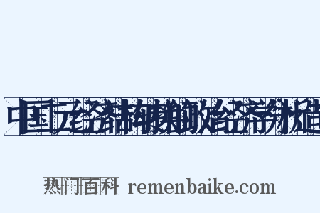 中国二元经济结构转换的政治经济学分析造句是什么意思的图片